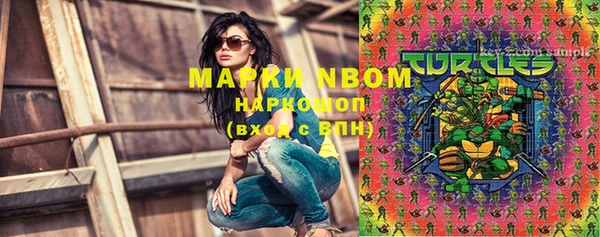 PSILOCYBIN Инсар
