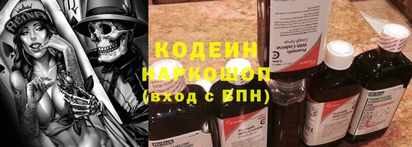 PSILOCYBIN Инсар